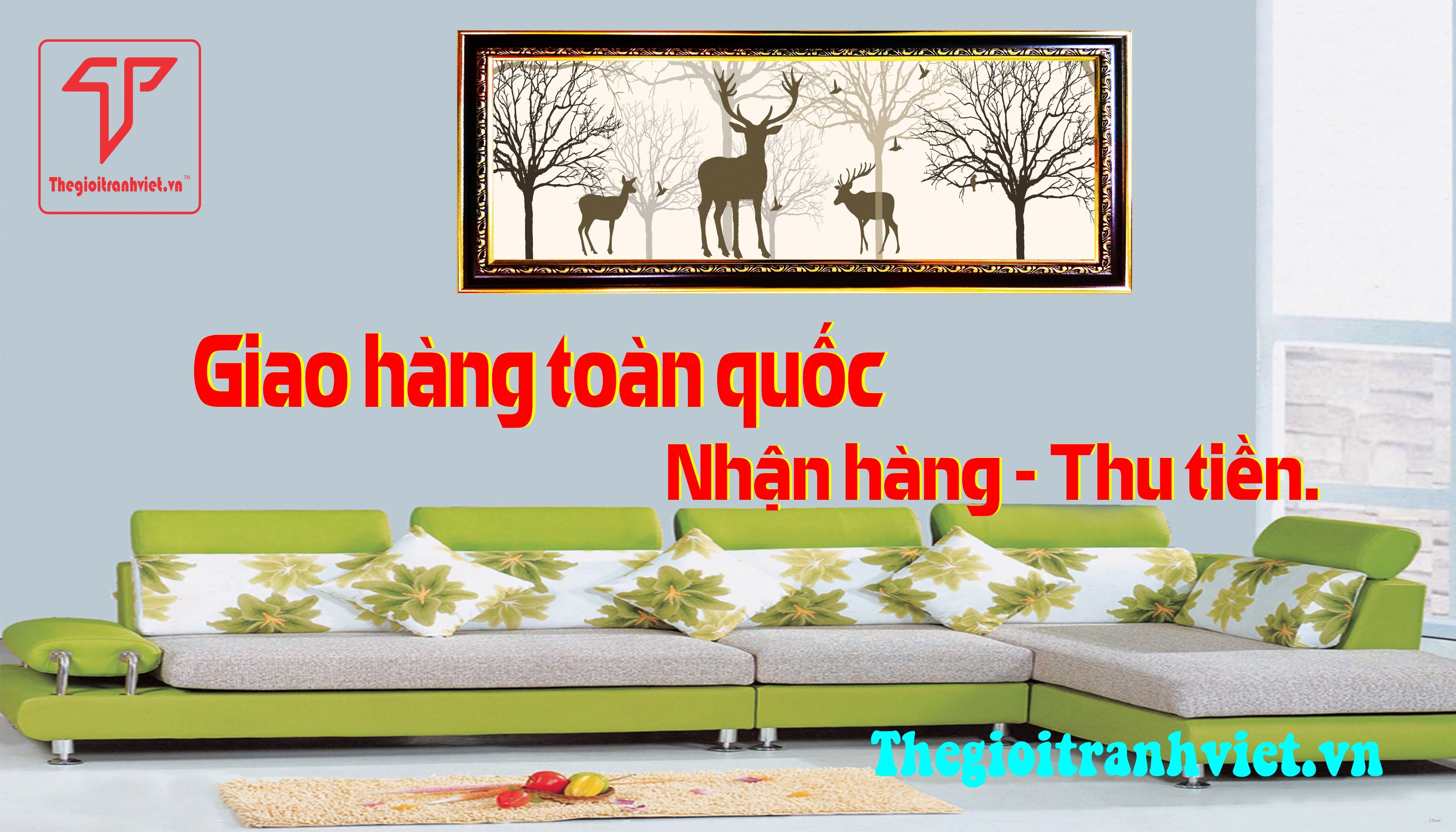 hình ảnh slider