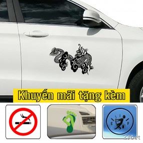 Decal dán sườn xe hơi trang trí