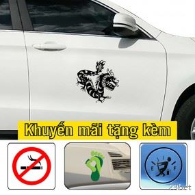 Decal trang trí sườn xe độc đáo