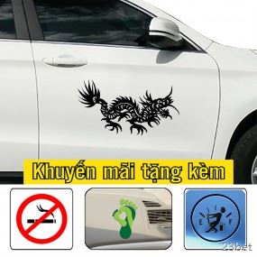 Decal trang trí sườn xe ô tô mới lạ